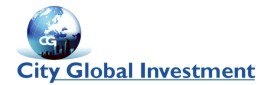 City Global Investment